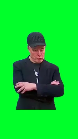 Musk at white house