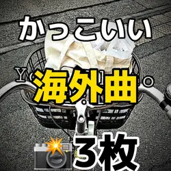 写真3枚