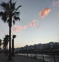 La luna