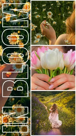 IN BLOOM