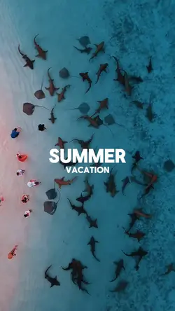 SUMMER VACATION