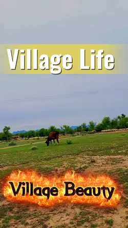 Village And nature