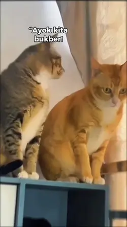 Jj ngajak bukber