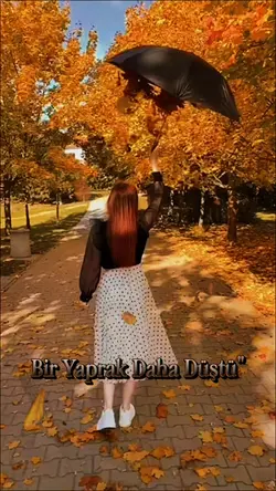 BirYaprak Daha Düştü