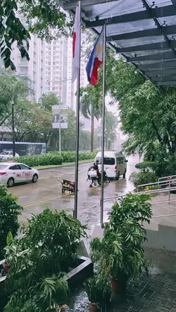 mood w'n rain
