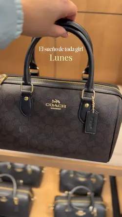 Bolsas elegantes