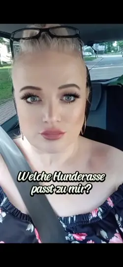 Hunde Effect