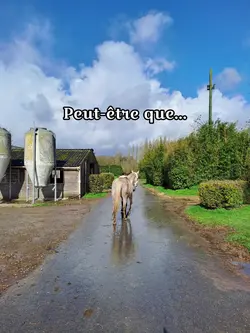 Peut-être que...
