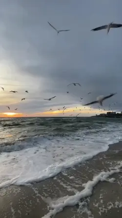 Harika şablonnn