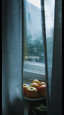 Morning