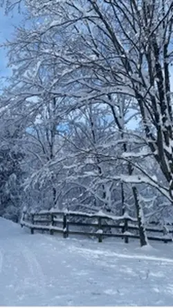 L’hiver 
