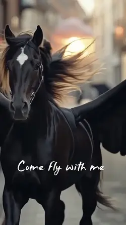 Come fly with me 