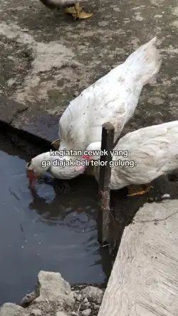kegiatan cewek yang 
