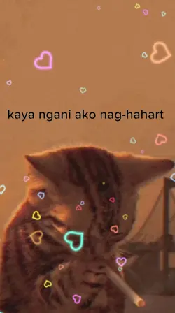 Kaya Ngani