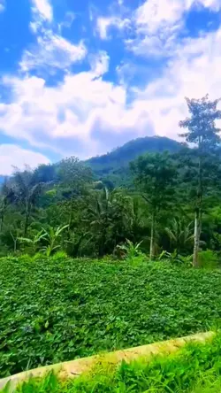 Suasana Pedesaan