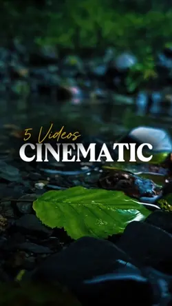 5 Videos Cinematic