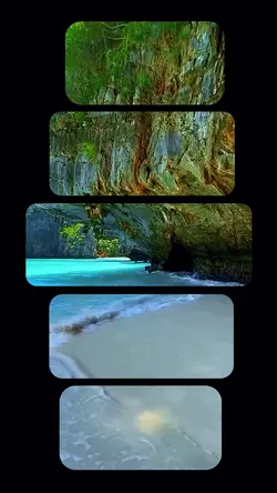 New template