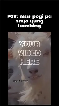 Poging kambing