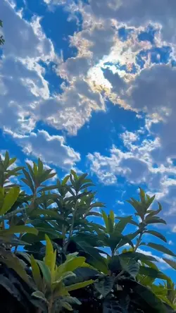 5 clip video