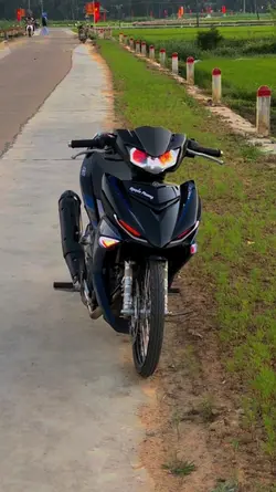 video+màu 