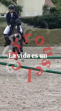 carrousel