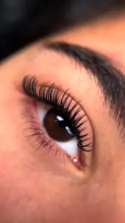 LASHES TRANSITIO
