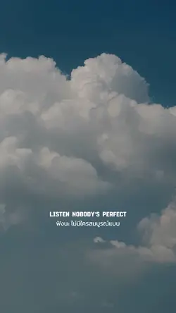 Nobody’s perfect แปล
