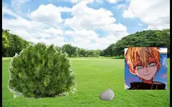Teru and Akane