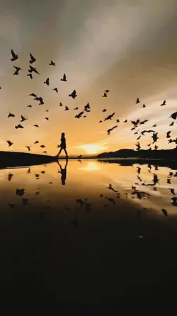 into the light 
