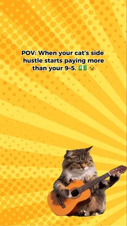 cat playing guitar
