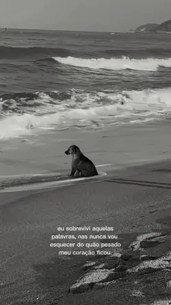aquelas palavras