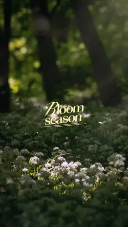 bloom season 
