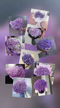 10 photo 10 product 