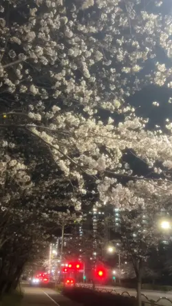 추억 템플릿