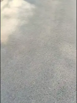 EID MUBARAK LEUTEE