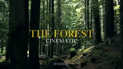 THE FOREST