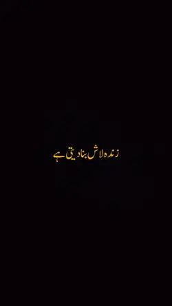 I am back capcut 