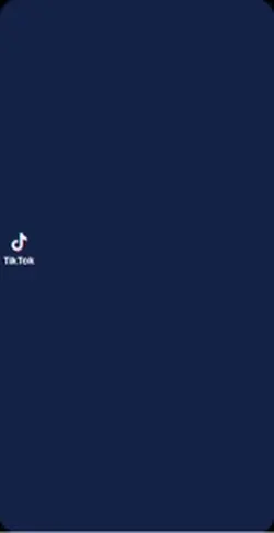 fake tiktok overlay