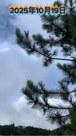 今日の天気