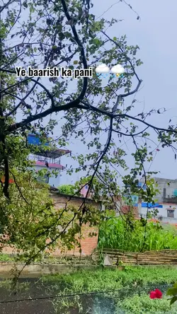 Barish template 