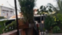 Blur To HD
