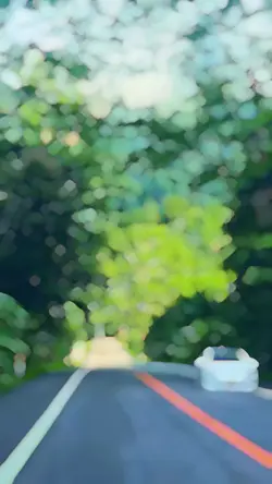 Best Slowmotion 