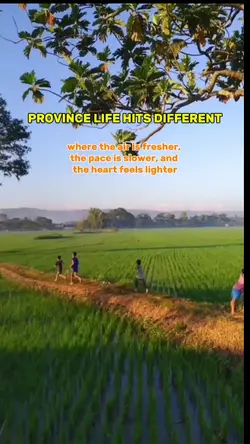 Fresh Air