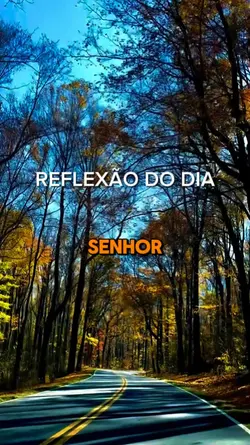 REFLEXÃO BOM DIA