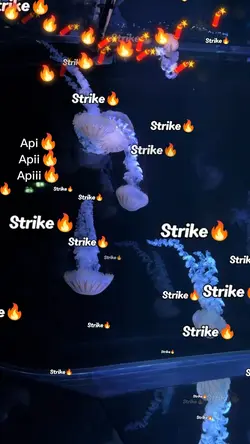 api strike tiktok