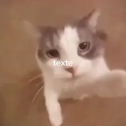 texte