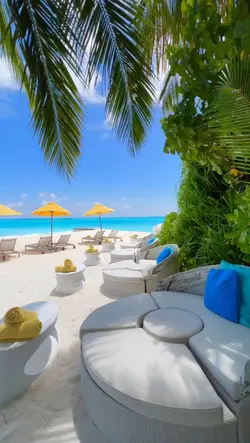 Day Day Holiday