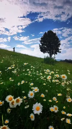 23 videos or photos 