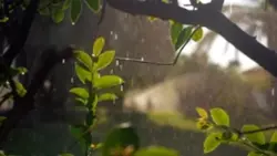 2 Mẫu 