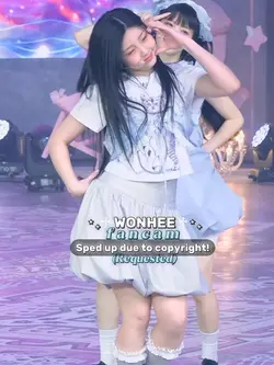 FANCAM